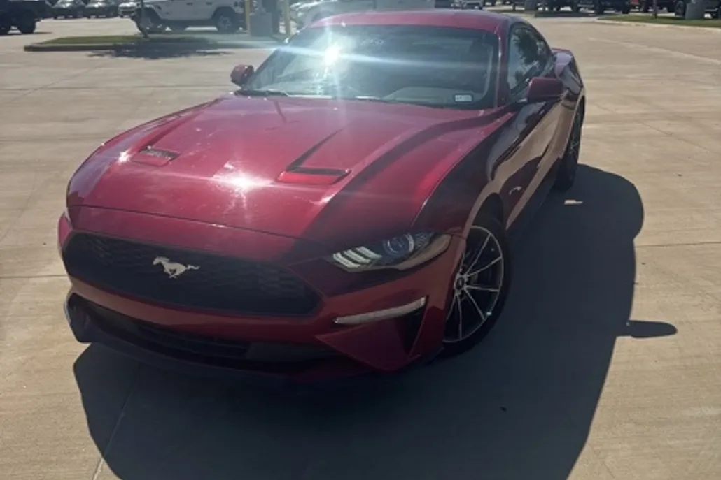 2019 Ford Mustang EcoBoost photo 1