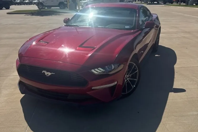 2019 Ford Mustang EcoBoost photo 1