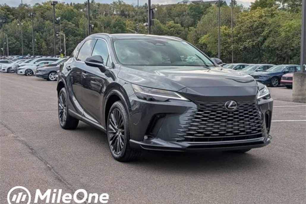 2025 Lexus RX 350 Luxury photo 1