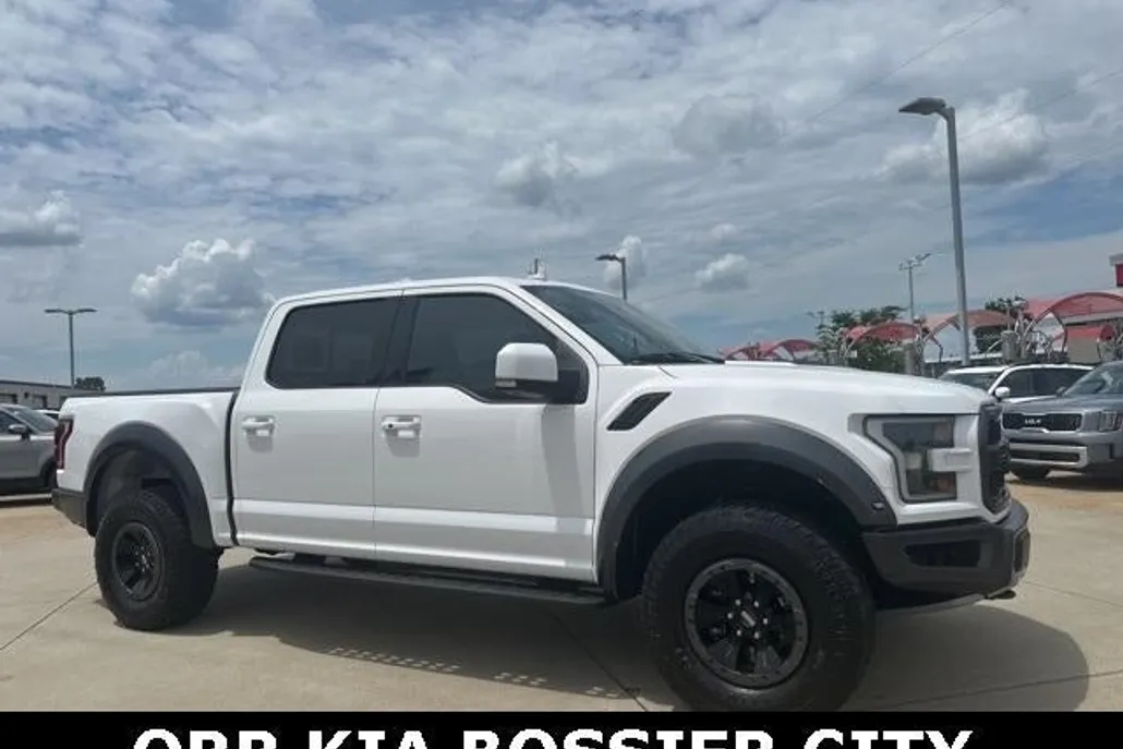 2019 Ford F-150 Raptor photo 1
