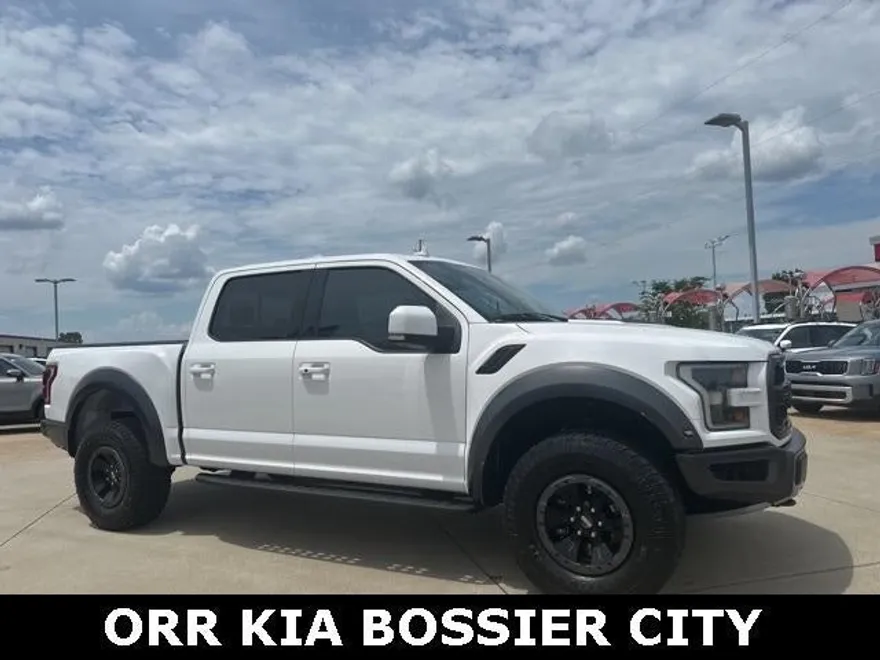 2019 Ford F-150 Raptor photo 1