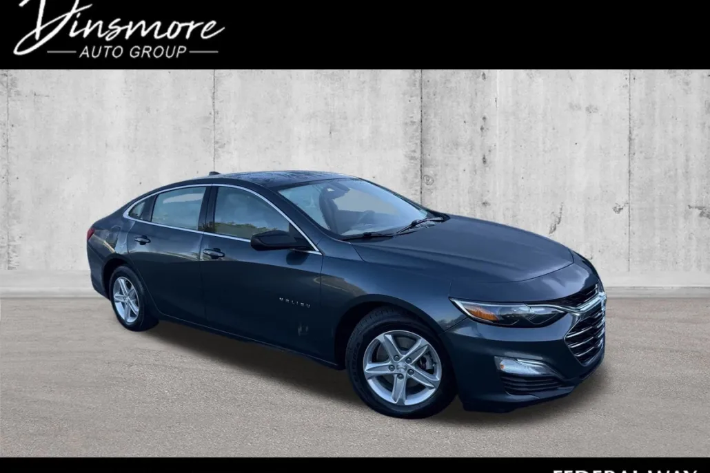 2020 Chevrolet Malibu LS photo 1