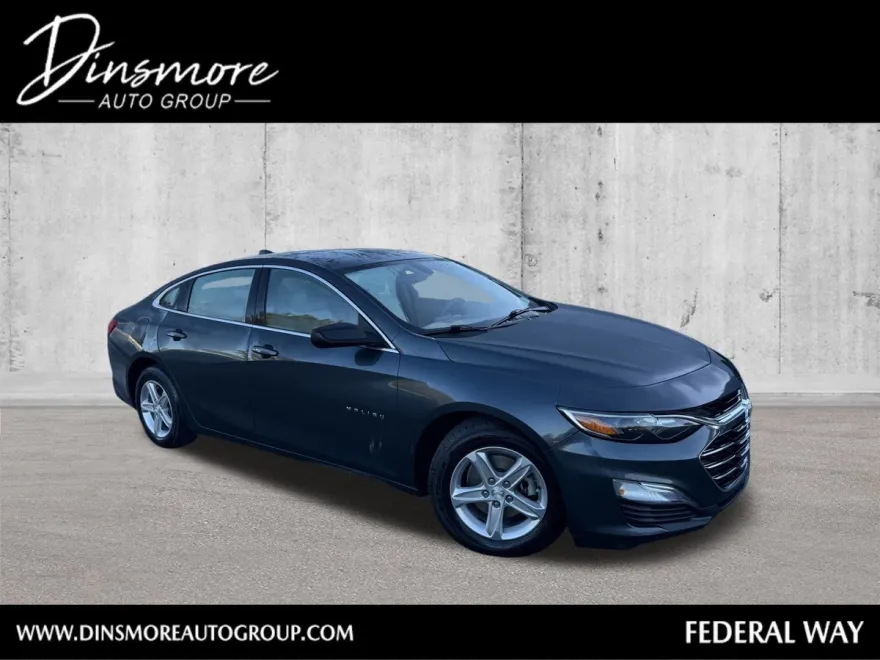 2020 Chevrolet Malibu LS photo 1