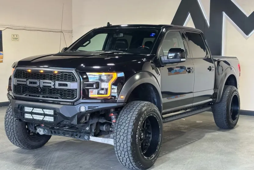 2019 Ford F-150 Raptor photo 1