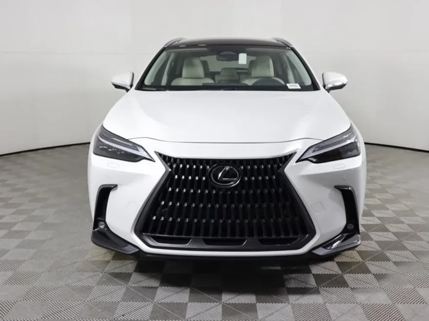 2025 Lexus NX 350h Luxury photo 1
