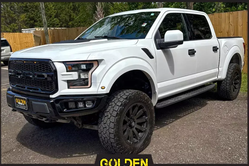 2018 Ford F-150 Raptor photo 1