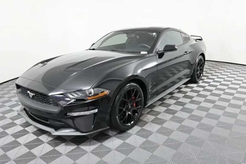 2019 Ford Mustang EcoBoost photo 1