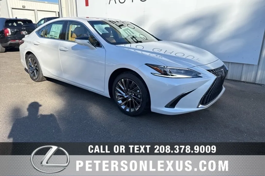 2025 Lexus ES 300h Luxury photo 1