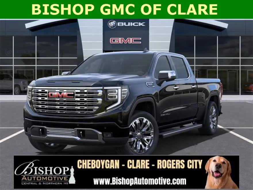 2025 Gmc Sierra 1500 Denali photo 1