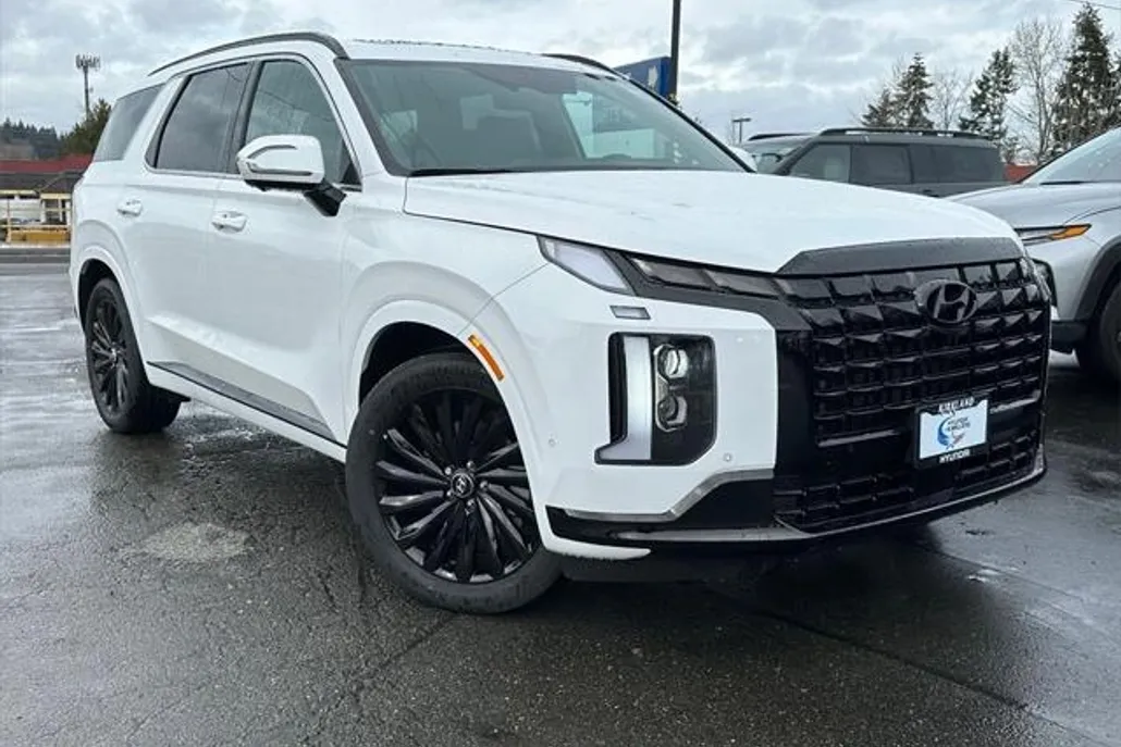 2025 Hyundai Palisade Calligraphy photo 1