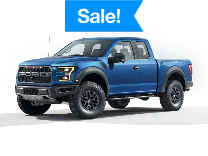 2019 Ford F-150 Raptor photo 1