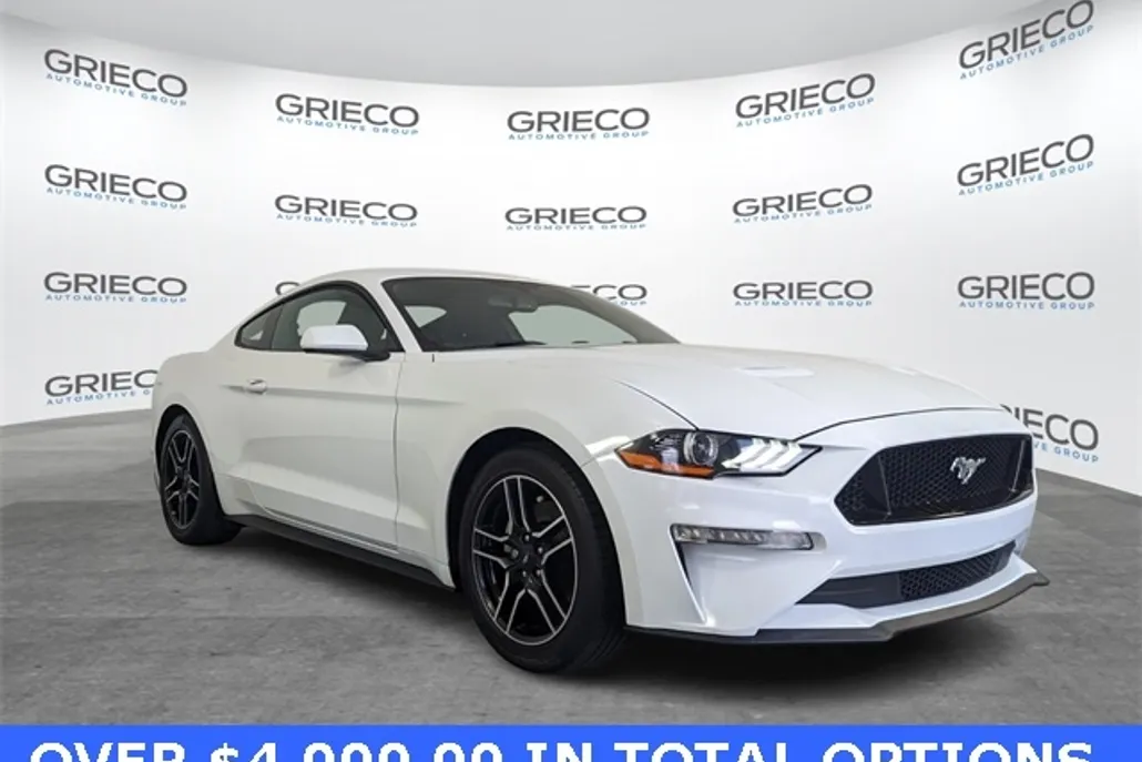 2019 Ford Mustang EcoBoost photo 1