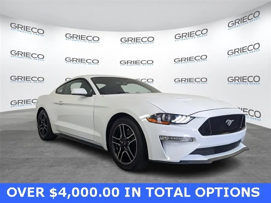 2019 Ford Mustang EcoBoost photo 1