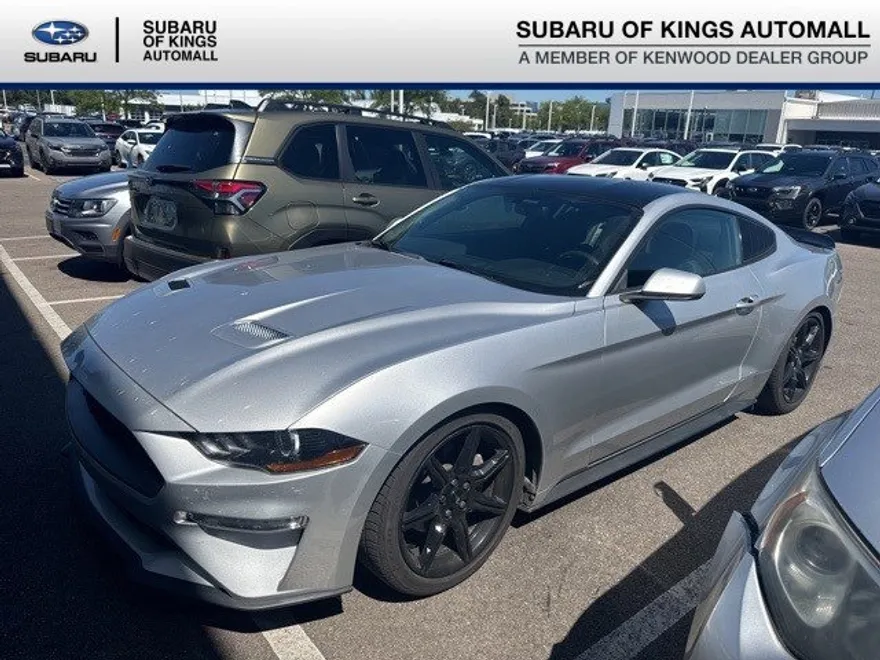 2019 Ford Mustang EcoBoost photo 1
