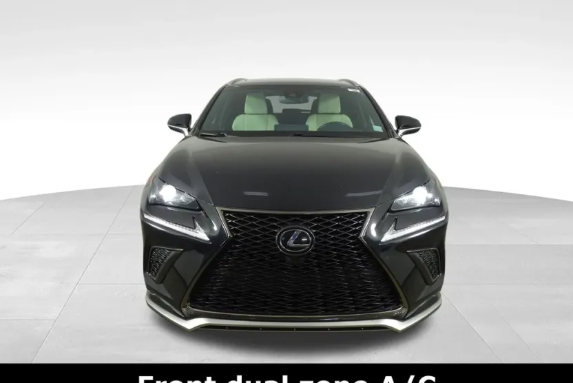 2019 Lexus NX 300 F SPORT photo 1