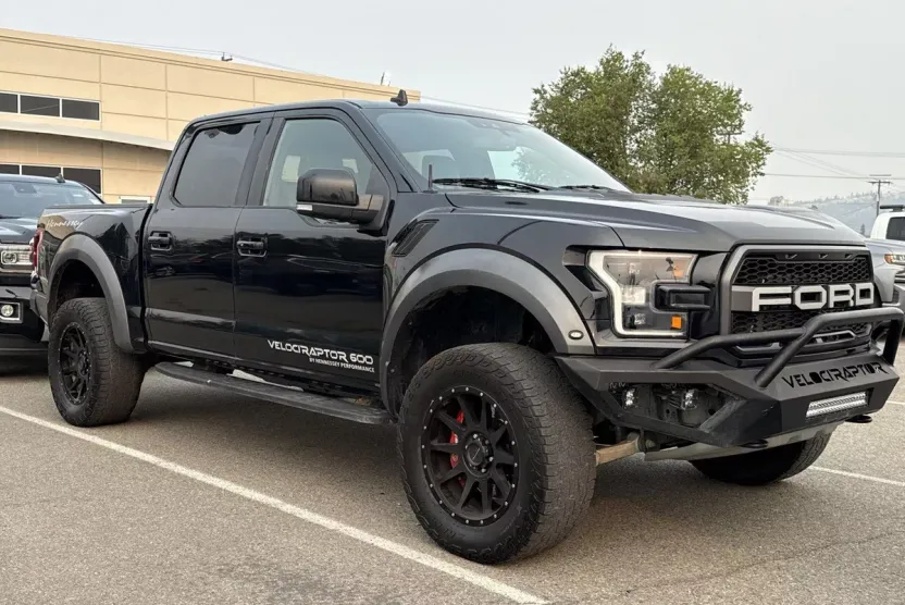 2019 Ford F-150 Raptor photo 1