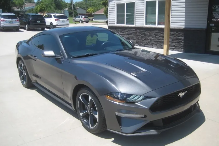 2019 Ford Mustang EcoBoost photo 1
