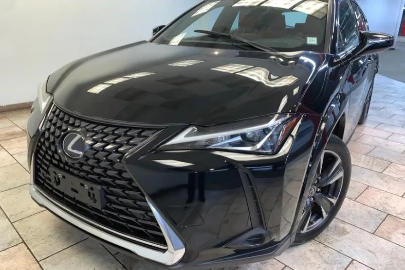 2022 Lexus UX 250h photo 1