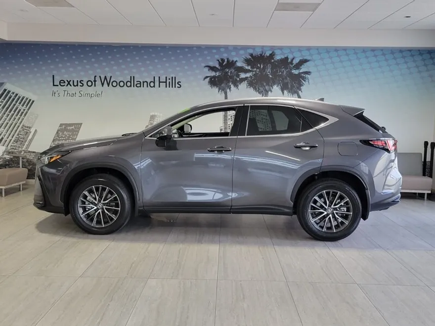 2024 Lexus NX 250 photo 1