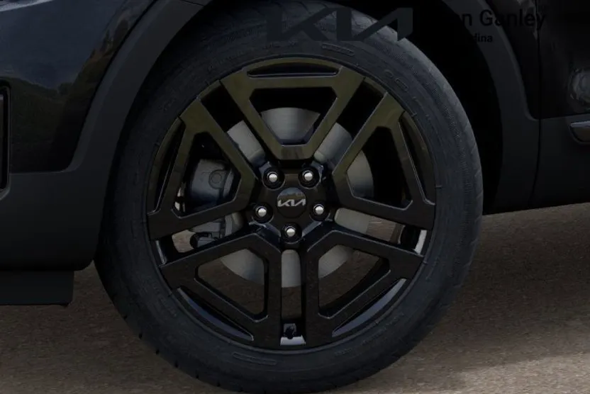 2025 Kia Telluride SX Prestige X-Line photo 1