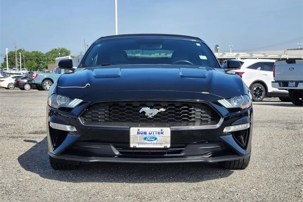 2019 Ford Mustang EcoBoost Premium Convertible photo 1