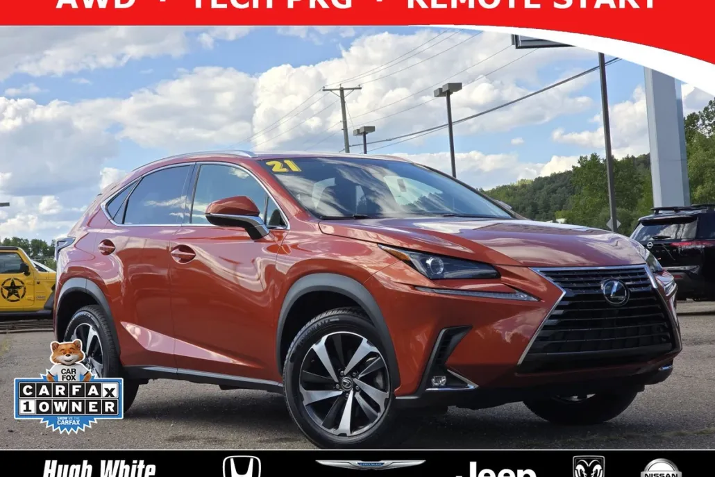 2021 Lexus NX 300 AWD photo 1