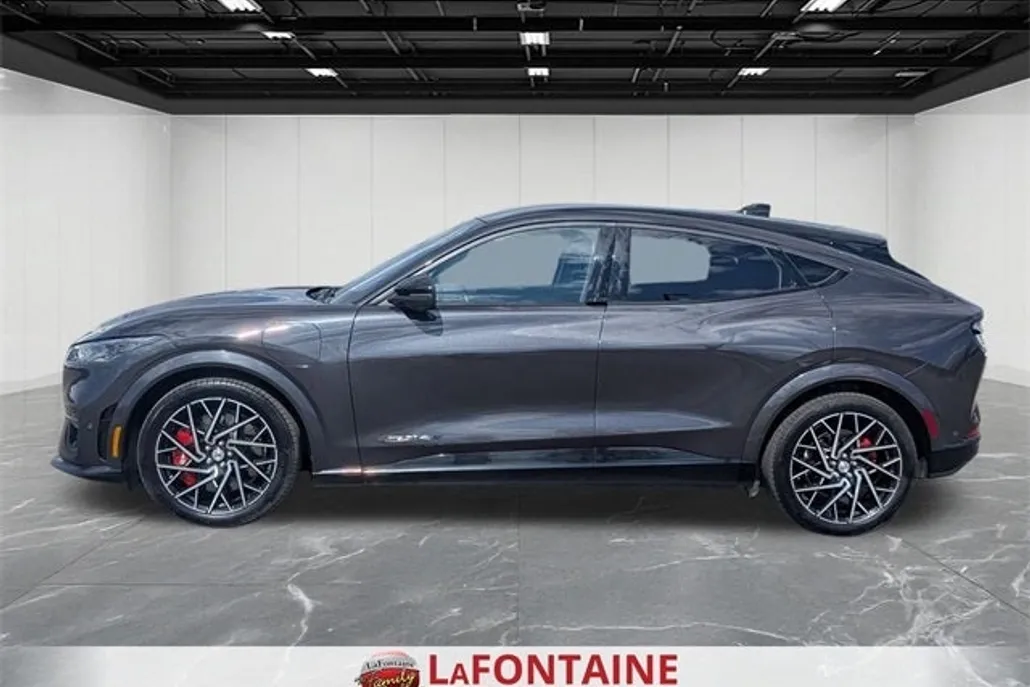 2022 Ford Mustang Mach-E GT photo 1
