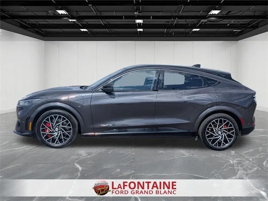 2022 Ford Mustang Mach-E GT photo 1