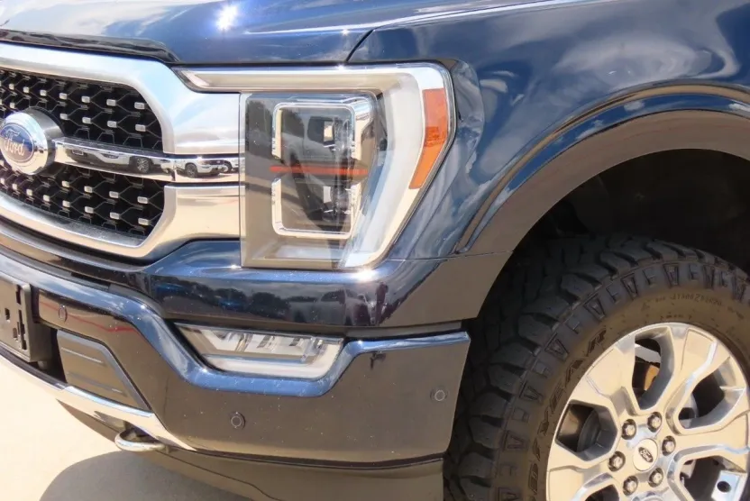 2021 Ford F-150 Platinum photo 1