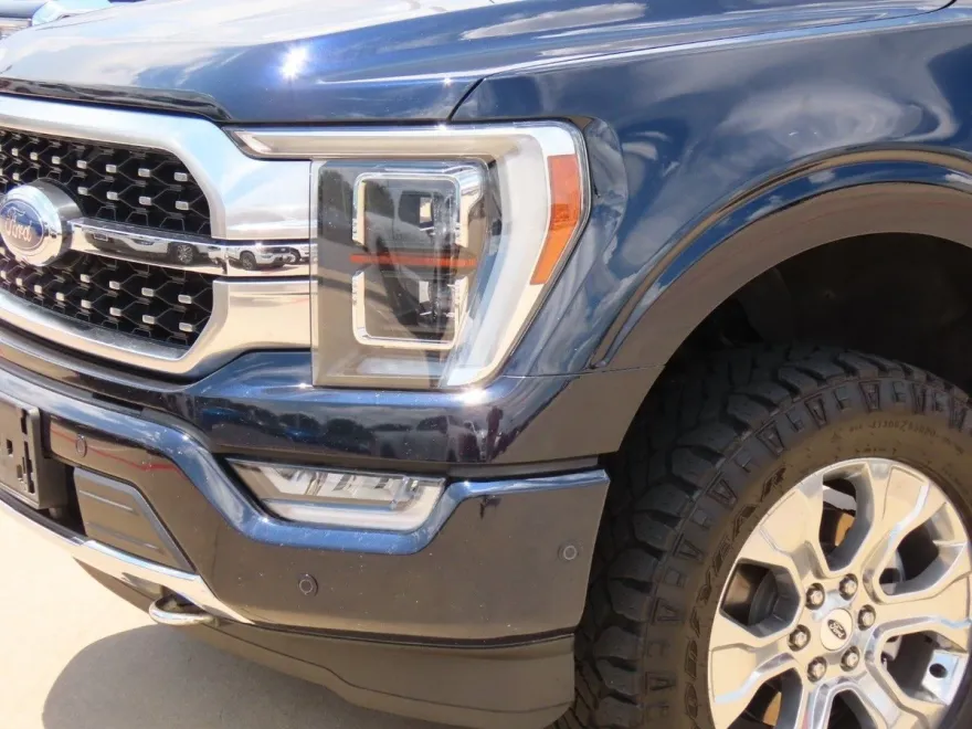 2021 Ford F-150 Platinum photo 1