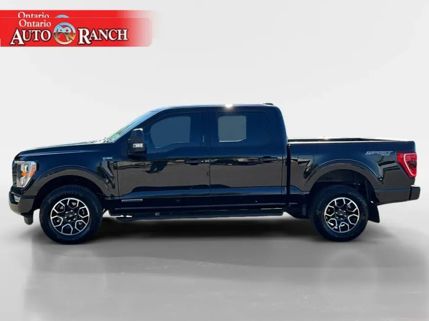 2023 Ford F-150 XLT photo 1