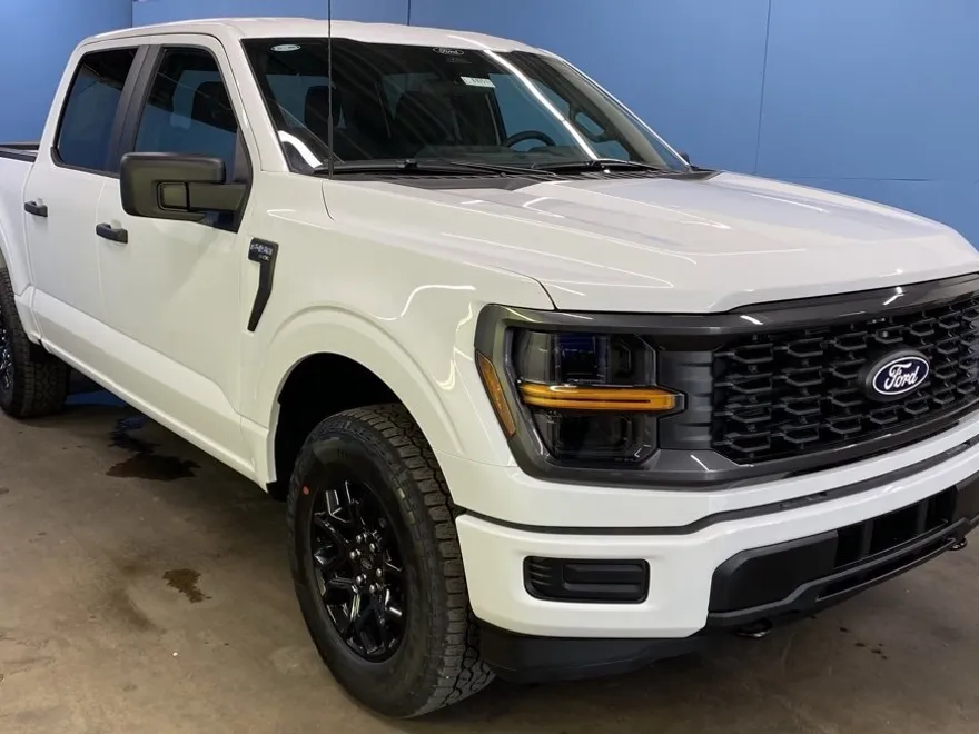 2025 Ford F-150 STX photo 1