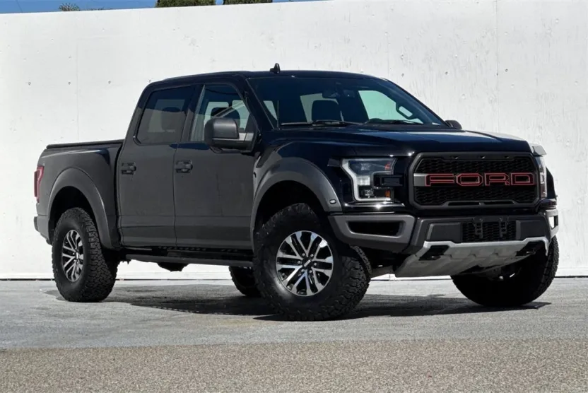2019 Ford F-150 Raptor photo 1
