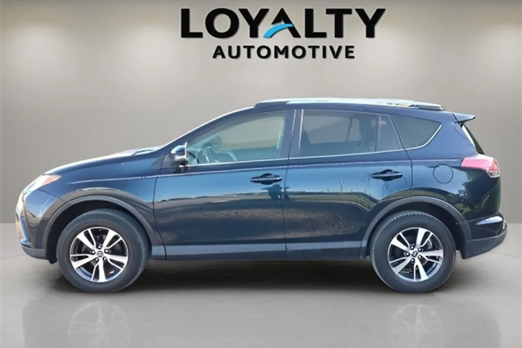 2018 Toyota RAV4 XLE photo 1