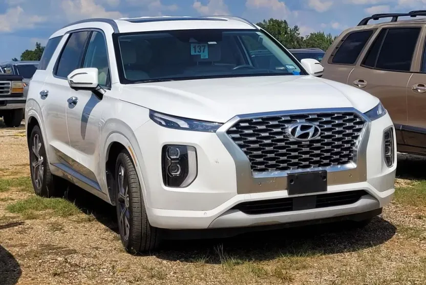 2021 Hyundai Palisade Limited photo 1