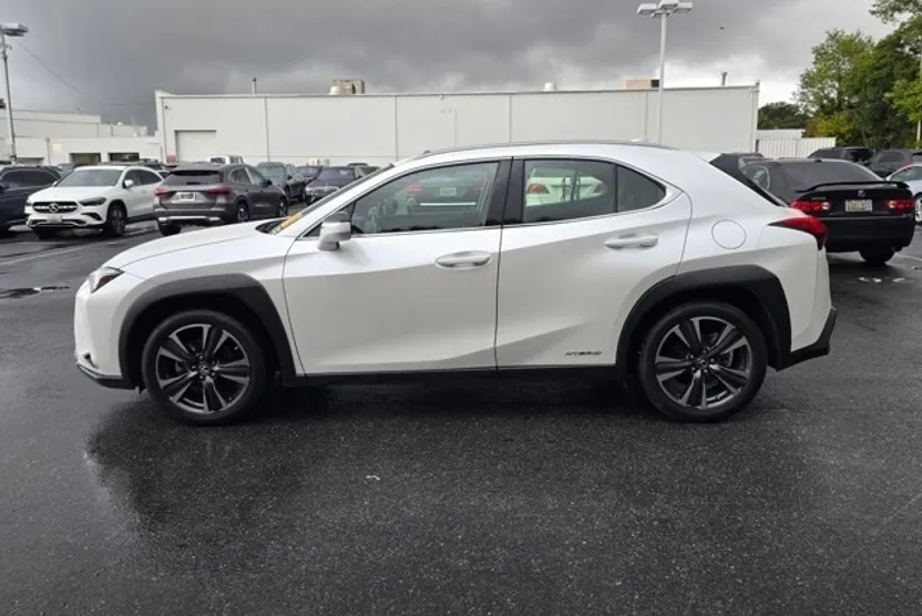 2019 Lexus UX 250h photo 1