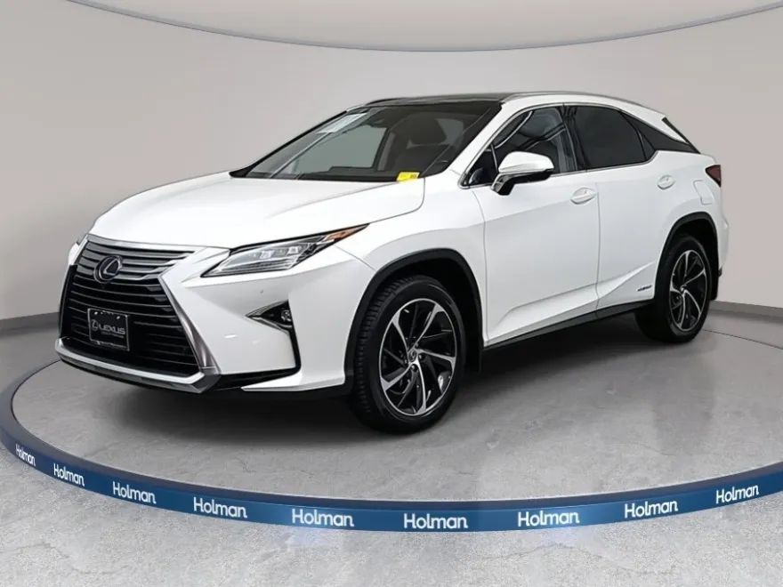 2019 Lexus RX 450h photo 1