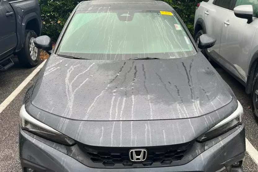 2022 Honda Civic Hatchback Sport Touring photo 1
