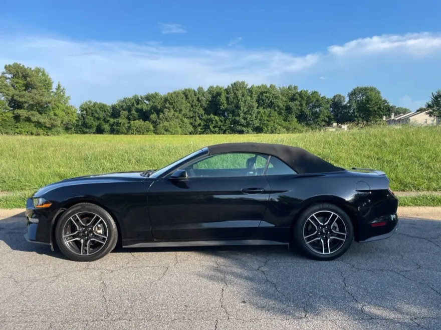 2020 Ford Mustang EcoBoost photo 1