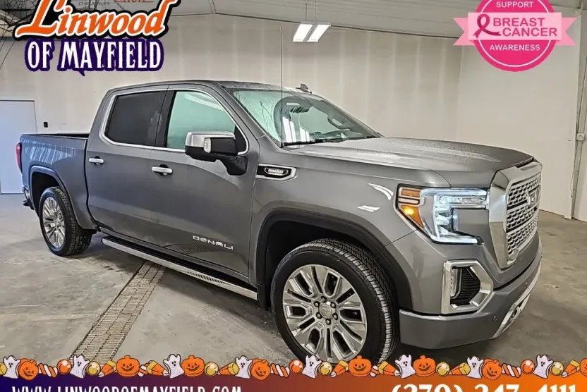 2021 Gmc Sierra 1500 Denali photo 1