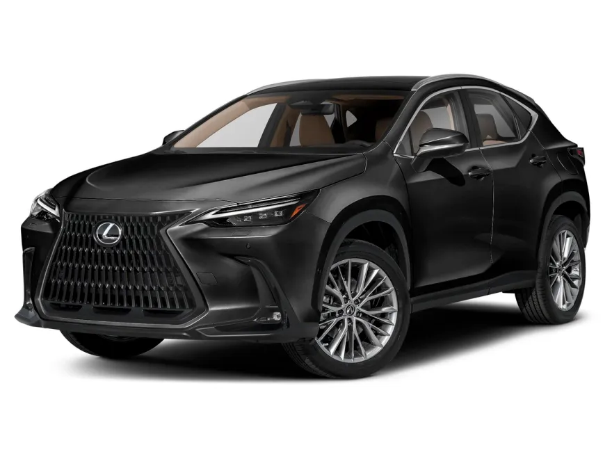 2023 Lexus NX 350h Luxury photo 1
