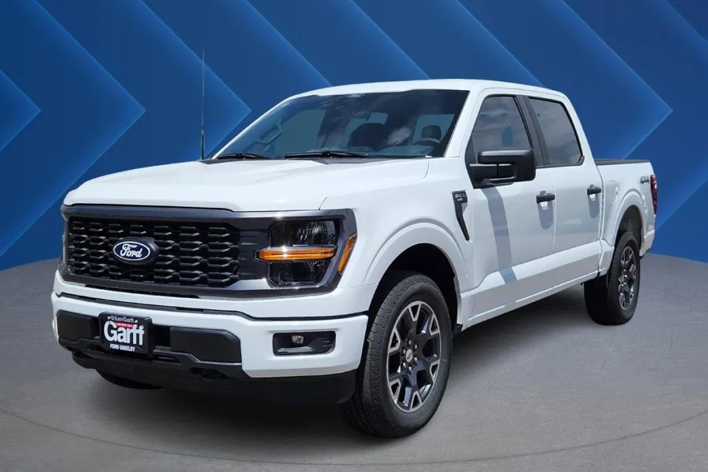 2025 Ford F-150 STX photo 1