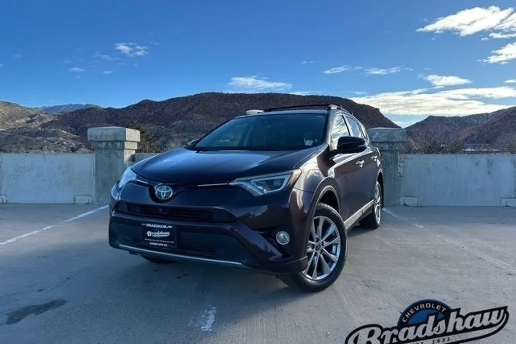 2017 Toyota RAV4 Base photo 1