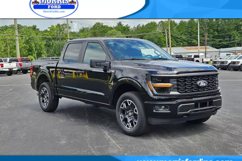 2025 Ford F-150 STX photo 1