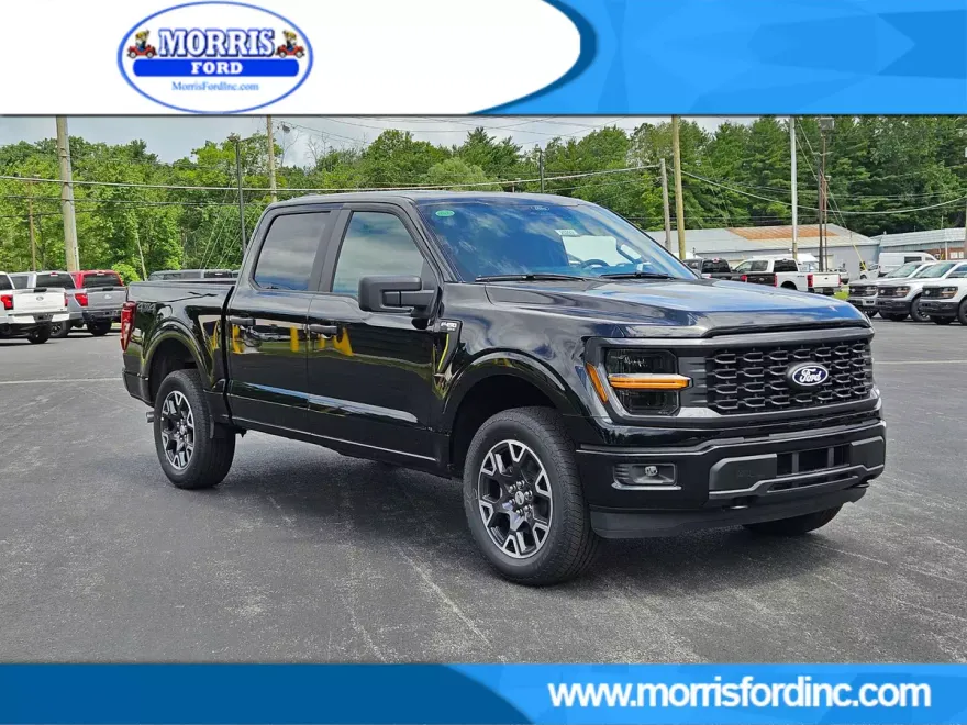 2025 Ford F-150 STX photo 1