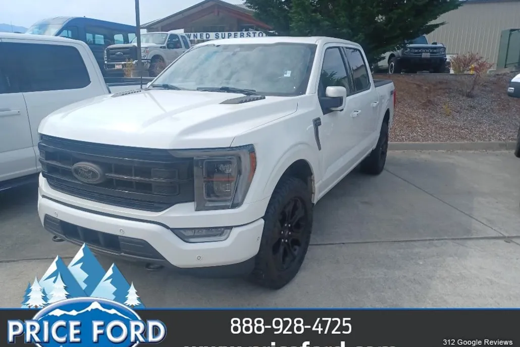 2022 Ford F-150 Platinum photo 1