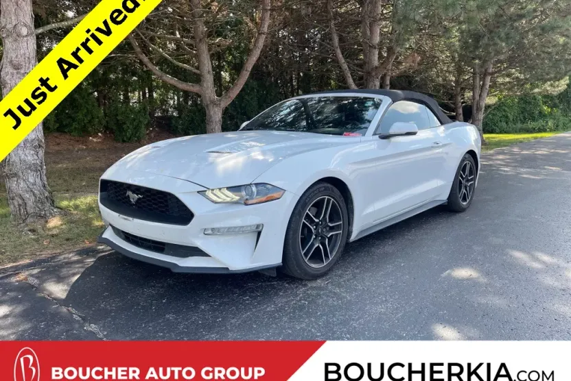 2018 Ford Mustang EcoBoost Premium photo 1