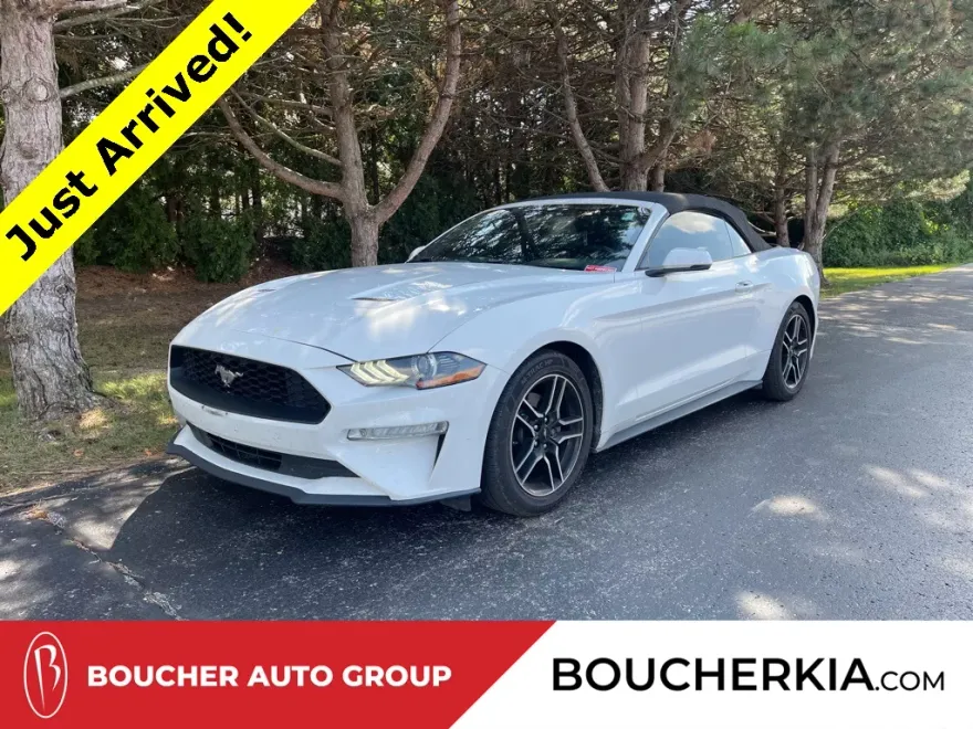 2018 Ford Mustang EcoBoost Premium photo 1