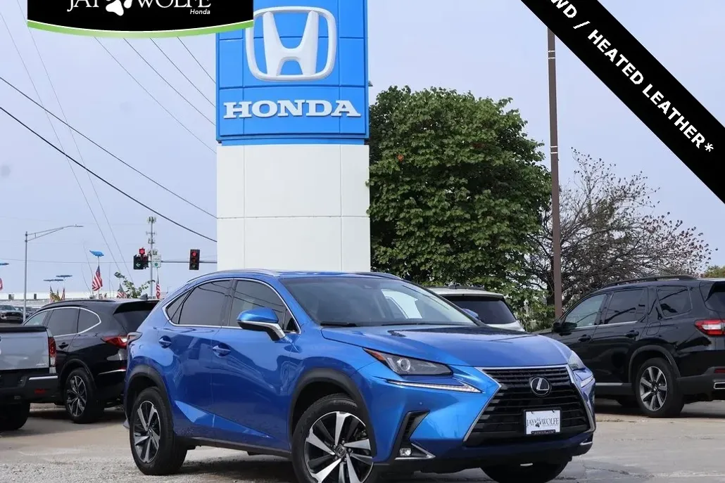 2019 Lexus NX 300 Luxury photo 1