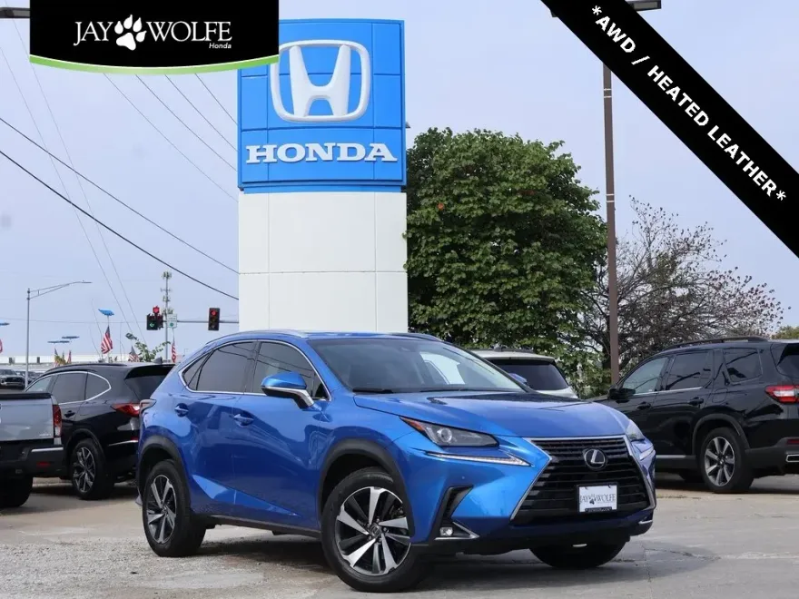 2019 Lexus NX 300 Luxury photo 1
